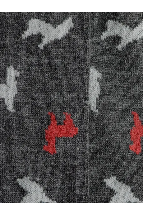 Chaussettes Pichu - Classique