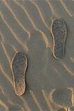 Soles Sapalla