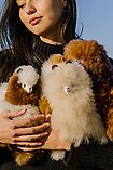 Alpaca Soft Toy 33 cm - Carmen