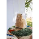 Alpaca Knuffel 23 cm - Carlos