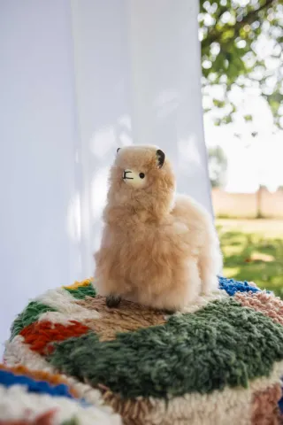 Alpaca Knuffel 23 cm - Carlos