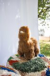 Alpaca Soft Toy 33 cm - José