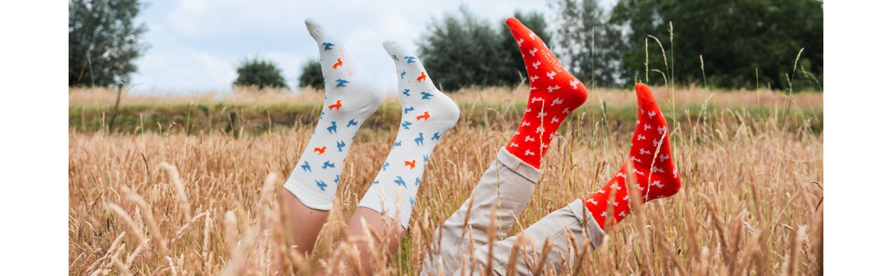 Alpaca men's socks