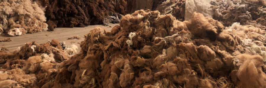 Fibre brute utilisée pour fabriquer une écharpe en tricot
