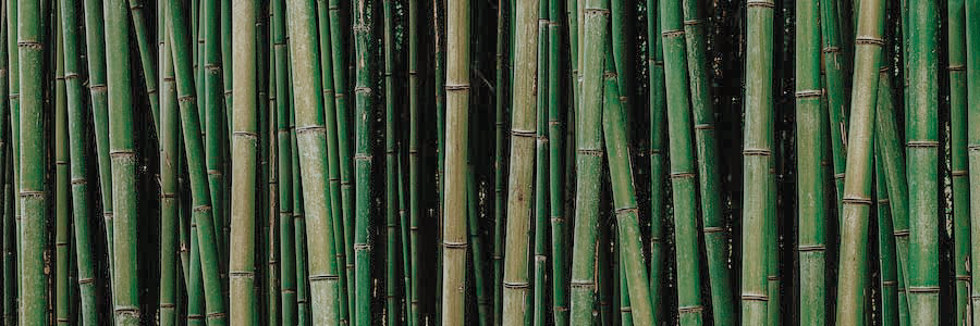 bamboo fibre