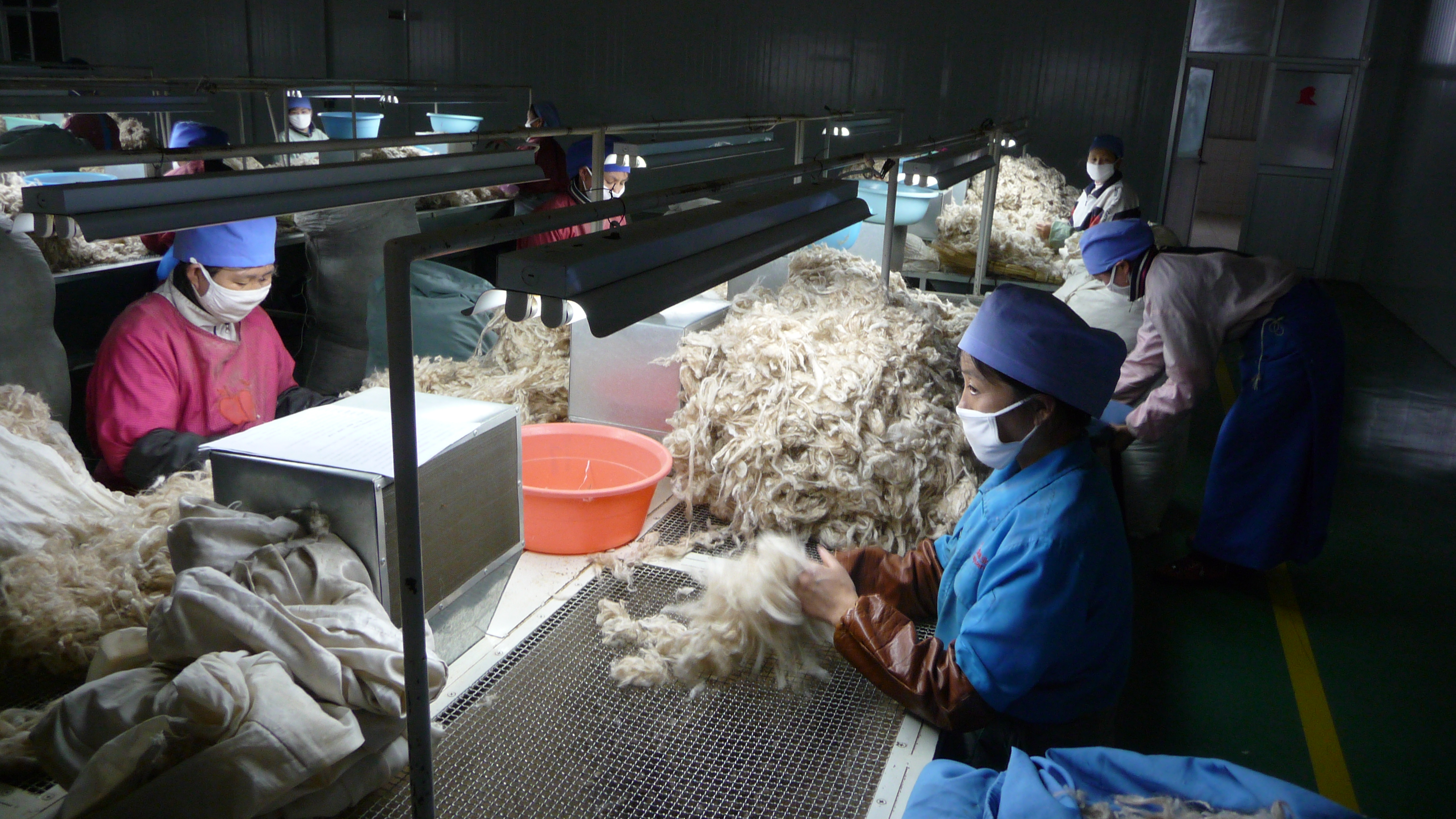 ecological alpaca fibre