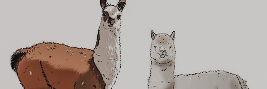 Alpaca's tekenen