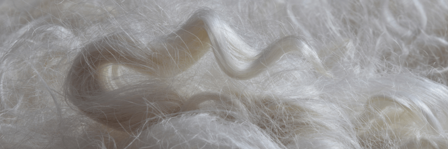 alpaca wool fiber