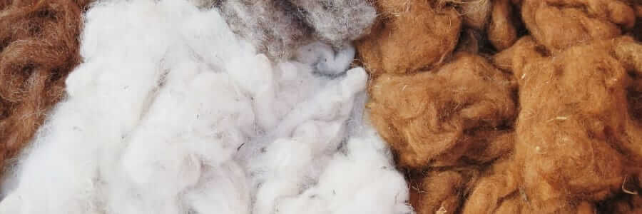 alpaca wool fiber