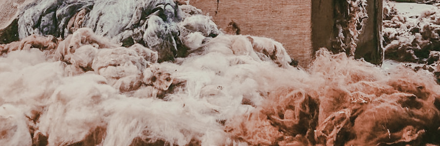 alpaca fiber