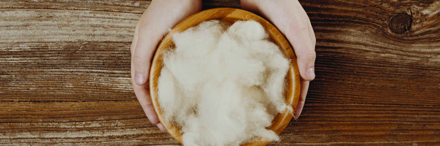 alpaca wool