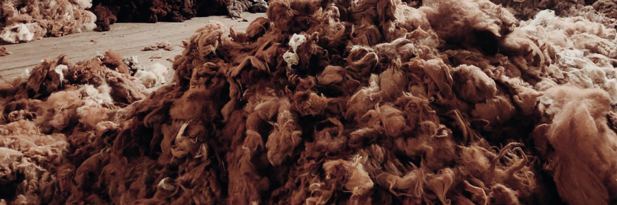 pile of wool alpaca harvest