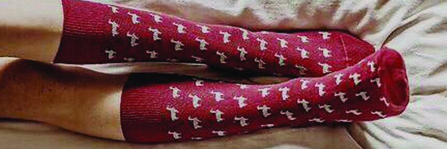 Rote Socken Alpakas