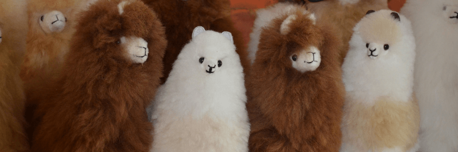 alpaca pluche