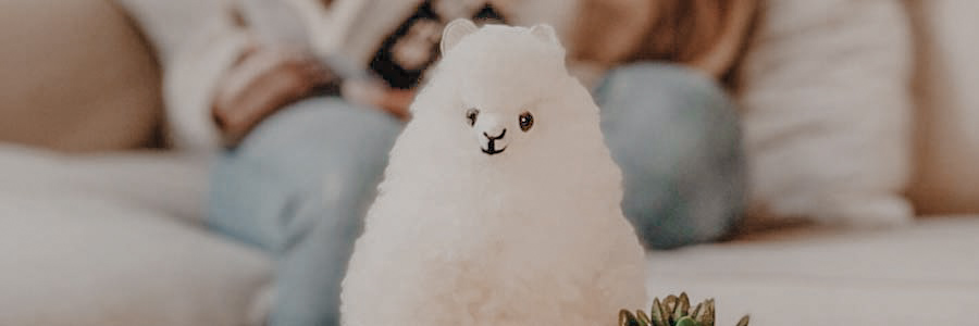 alpaca pluche