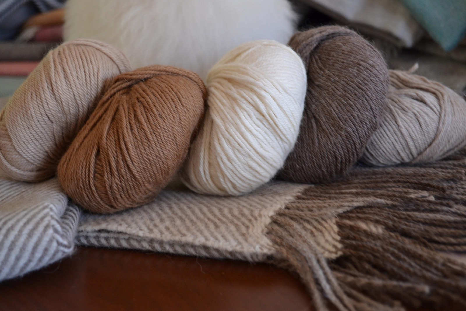 Alpaca wool - BellePaga