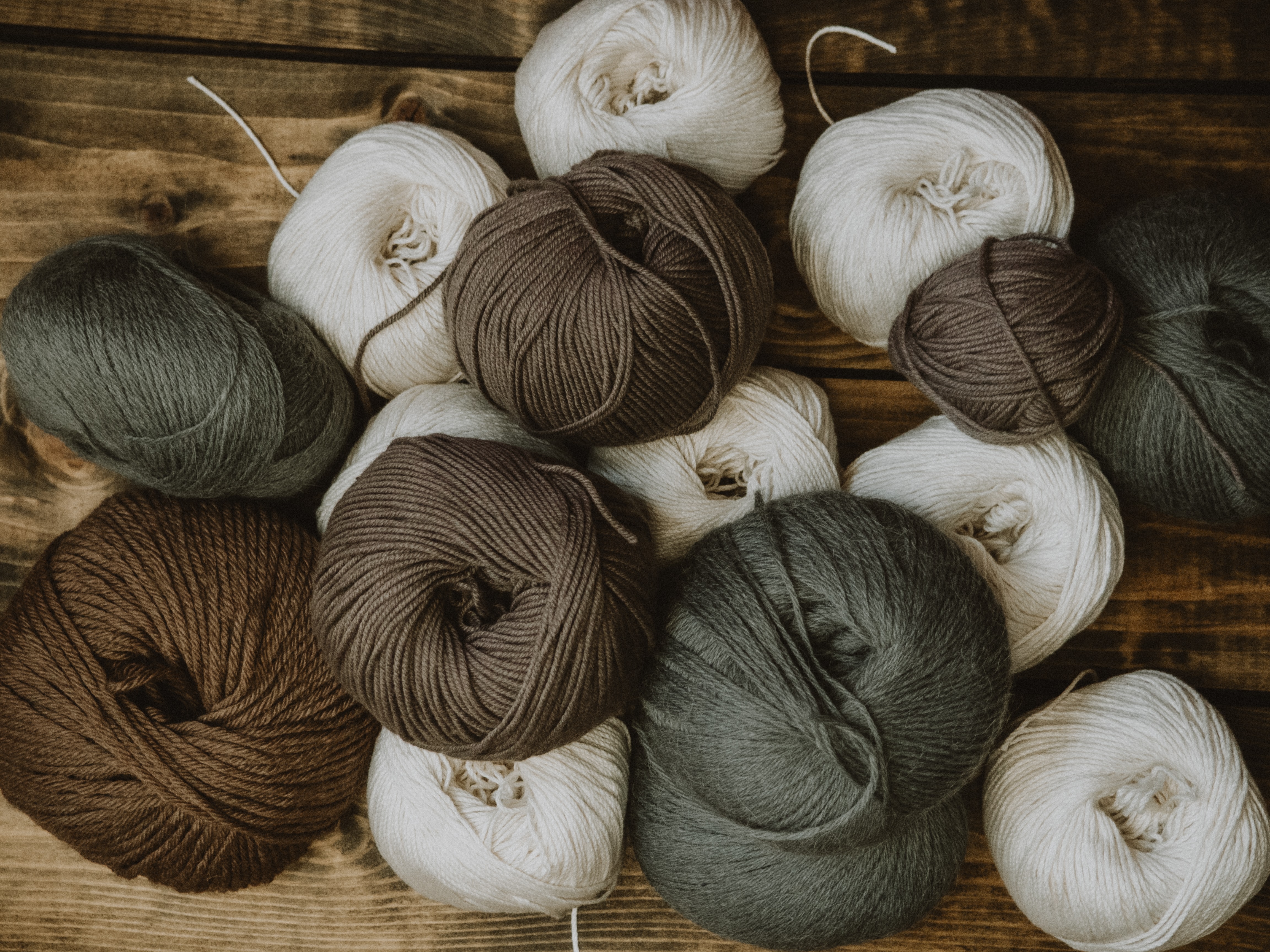 What everyone should know about alpaca wool