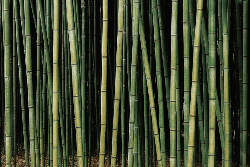 bamboevezel