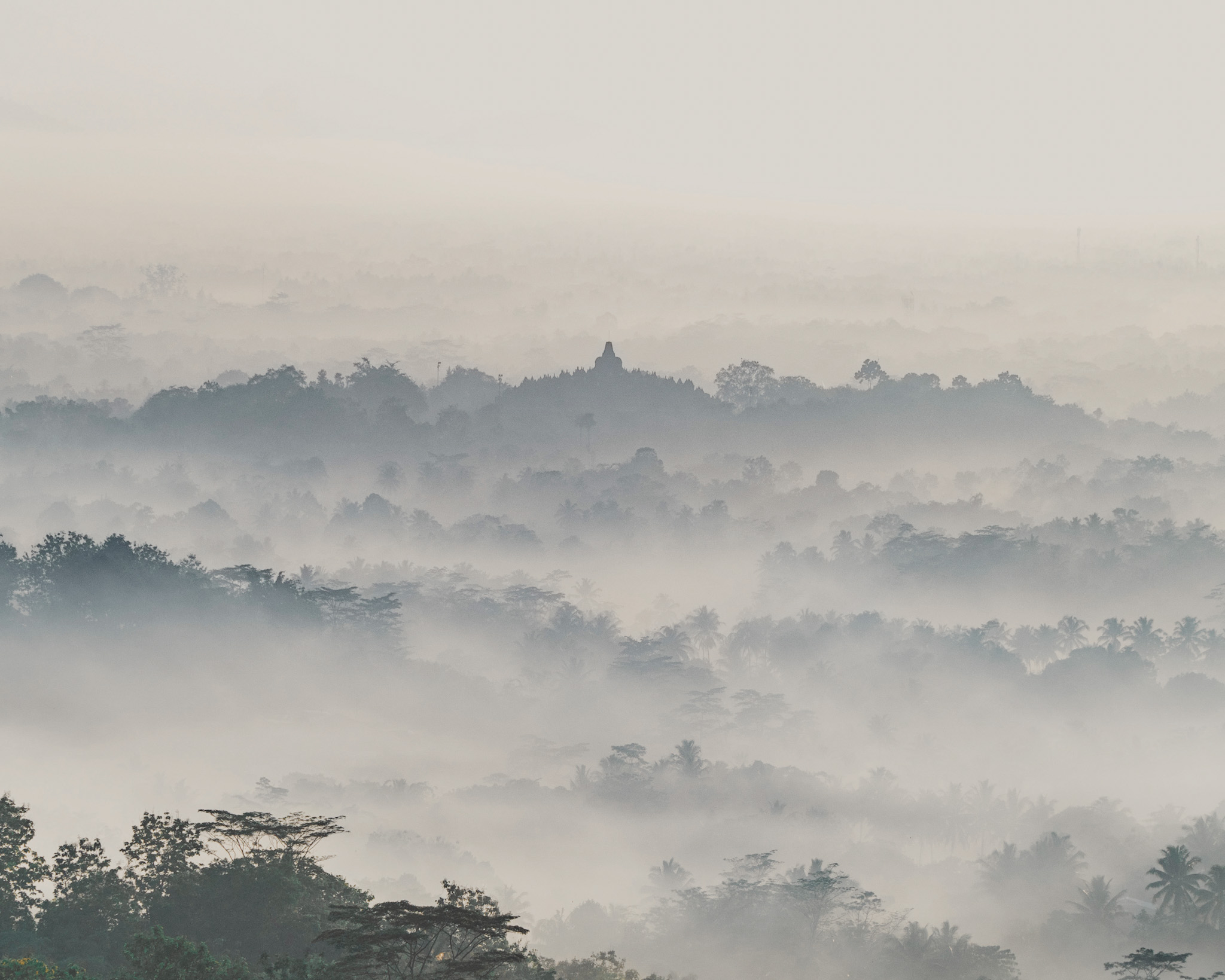 durabilité montagne brouillard nature