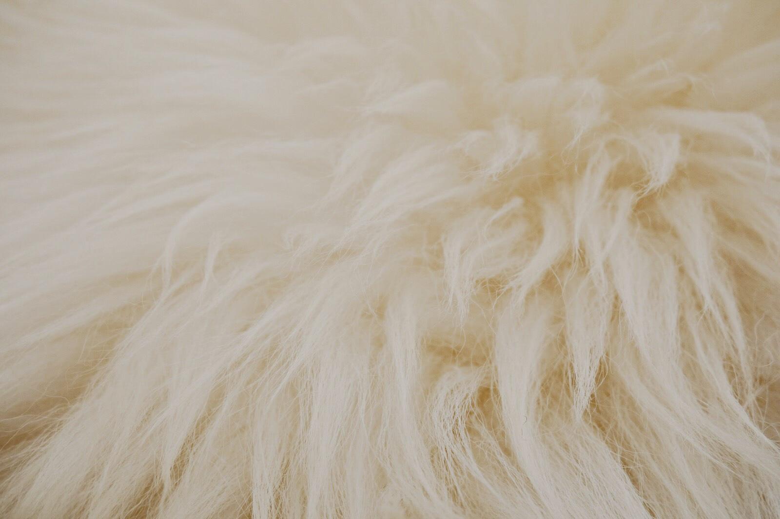 What everyone should know about alpaca wool